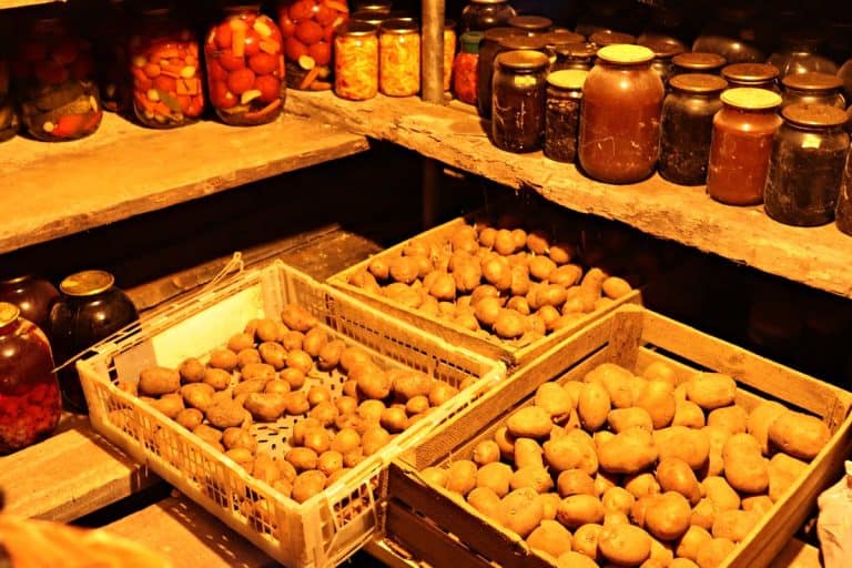 How Long Foods Last in a Root Cellar (Printable Storage Chart